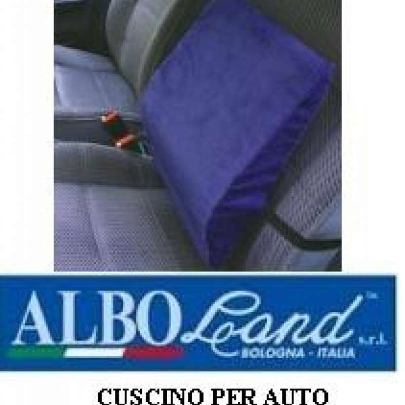 cuscini per auto e per ufficio